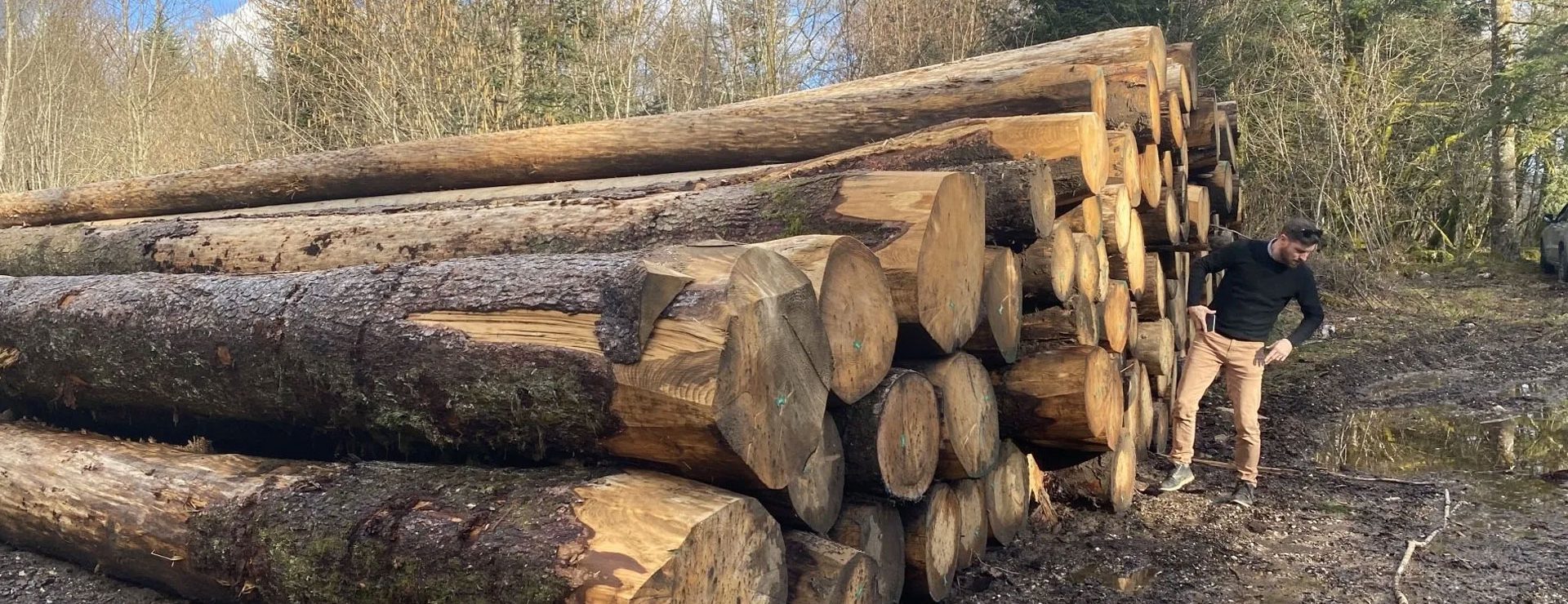 Bois de chauffage Ille-et-Vilaine